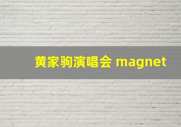 黄家驹演唱会 magnet